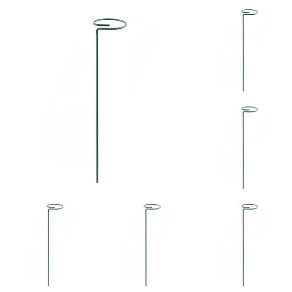 EZPXFCI 6 Pack 16 Inch Plant Support Stakes - Single Stem | Plant Rings for Amaryllis/Rose/Orchid/Peony/Lily/Tomatoes/Vegetables