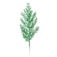 thumbnail image 1 of EZPXFCI Artificial Cedar Spray - Realistic Style, Ideal for Christmas Tree Accents, Holiday Wreaths Decor, Winter Flower Arrangement & Indoor Holiday Decor, 1 of 9