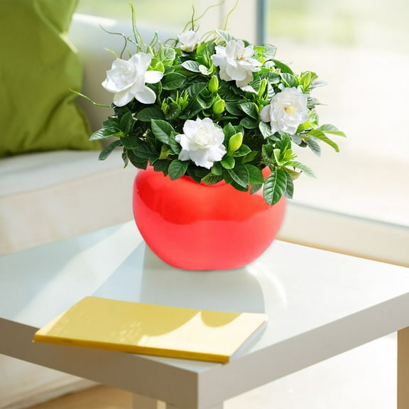 EZPXFCI Round Plastic Plant Pots Hydroponic Flowerpot Nursery Decor Wall Planter Porcelain Plant Pot Planters Indoor House Decor Home Decoration Stands Novelty Planter Pots