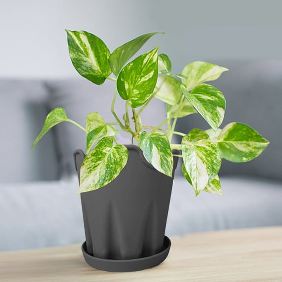 EZPXFCI Unique Design Silicone Flower Pot - 4 Inch Plant Pot with Bottom Tray Indoor Outdoor Planter Pot for Home Office Garden Decor