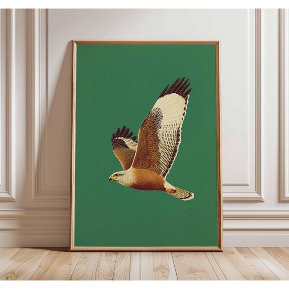 Eagle Art Print MidCentury Modern Wildlife Decor