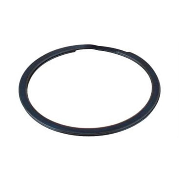 Eagle Birdcage Spiral Lock