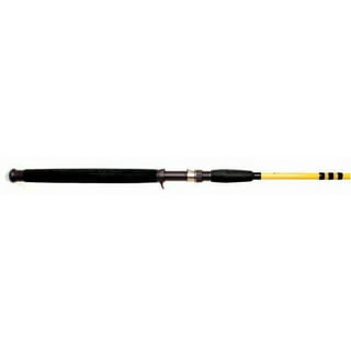 Eagle Claw Fishing Rods in Fishing
