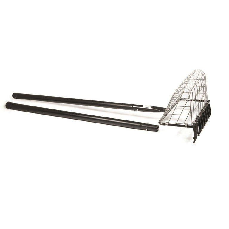 Clam rake online