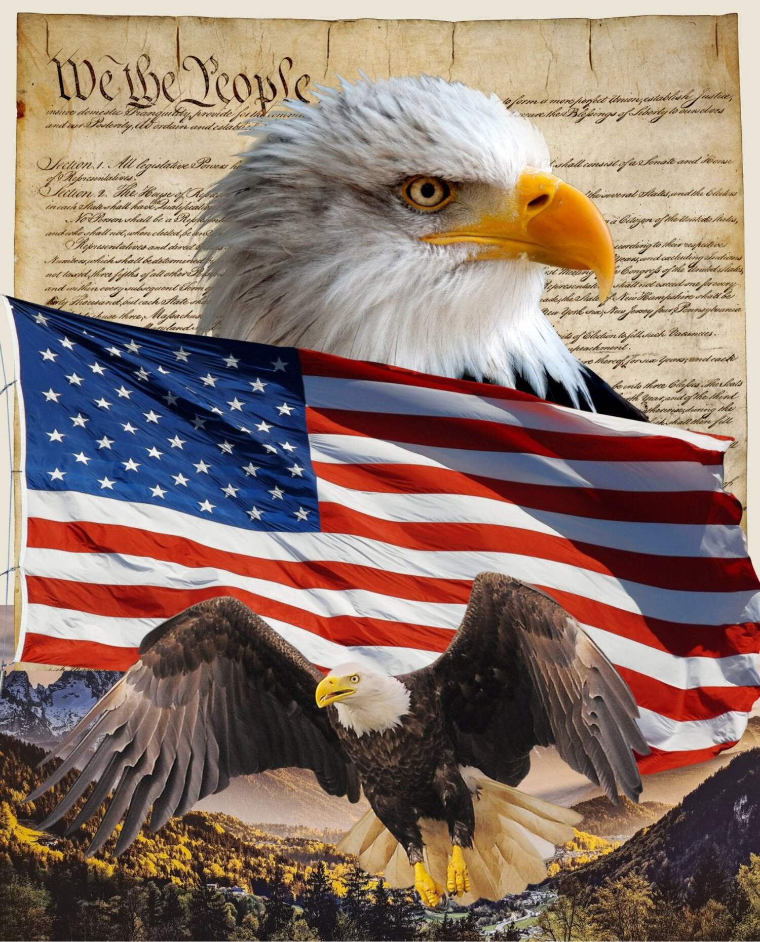 36" X 44" Panel Eagle & Constitution Panel America Bald Eagle Flag Mountains Patriotic David Textiles Cotton Fabric Panel (DX-4234-3C)