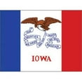 thumbnail image 1 of Eagle Emblems F8516 Flag - Iowa - 12 x 18 in., 1 of 1