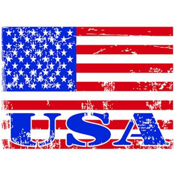 Eagle Emblems MG0830 Magnet - USA Button - 2.5 x 3.5 in.