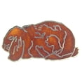 Lop Rabbit All Eagle Emblems P00364 Pin - Rabbit, Lops, Brown - 1 in. - Walmart.com