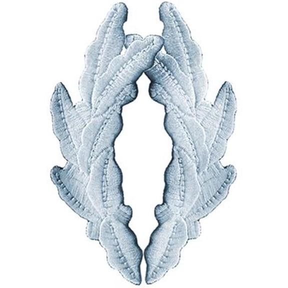 Eagle Emblems PM0253 Patch - Scrambled Egg, Silver - Set of 2 - 3.75 in.