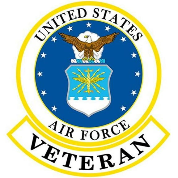 Eagle Emblems PM9020 Patch - USAF Emblem, Veteran - 12 in.