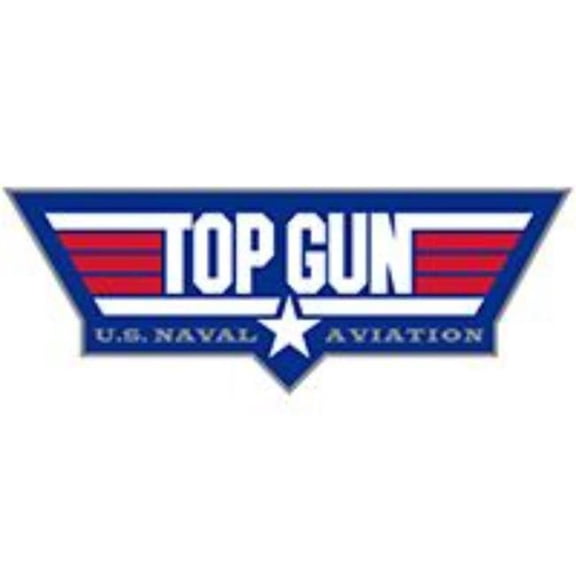 Eagle Emblems P00831 Pin - USN, Top Gun Logo - 1.38 in.