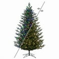 thumbnail image 1 of Vickerman G170393LEDCC 12 ft. x 85 in. Eagle Fraser 3 mm 2850CC Christmas Tree, 1 of 10