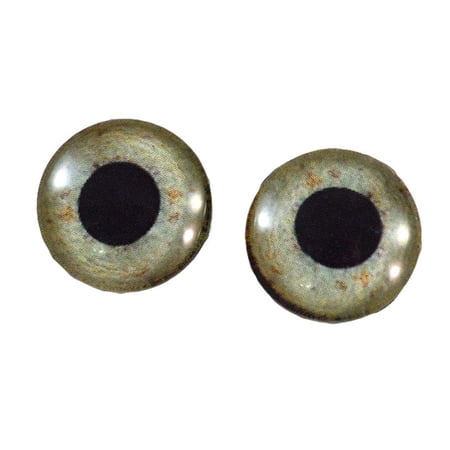 Eagle Glass Eyes