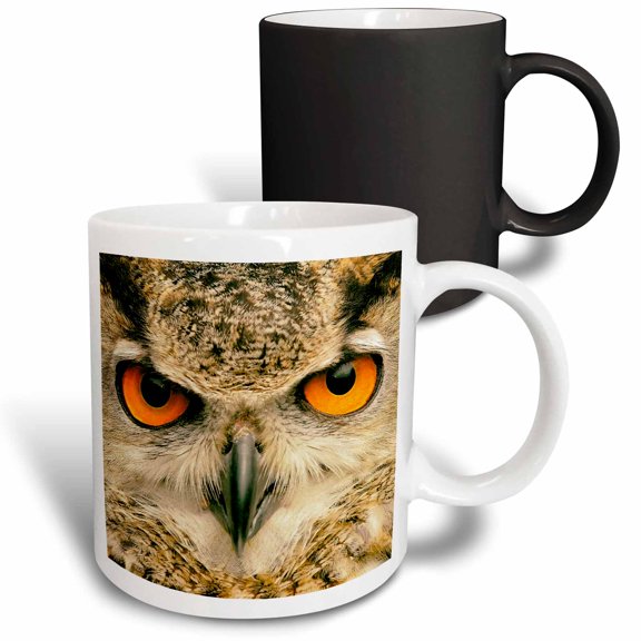 3drose, Eagle Owl (bubo Bubo) in Spain, 11oz Magic Transforming Mug