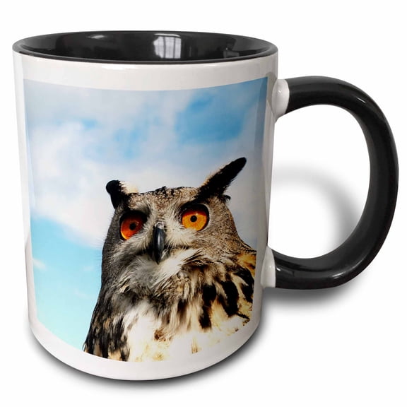 3drose, Eagle Owl (bubo Bubo) in Spain, 11oz Two-tone Black Mug