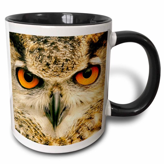 3drose, Eagle Owl (bubo Bubo) in Spain, 11oz Two-tone Black Mug