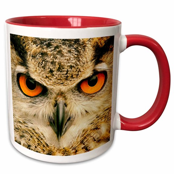 3drose, Eagle Owl (bubo Bubo) in Spain, 11oz Two-tone Red Mug