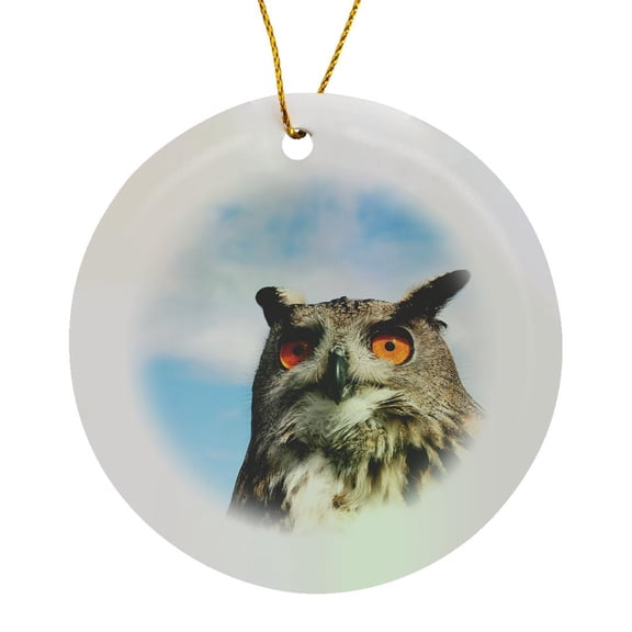 3drose, Eagle Owl (bubo Bubo) in Spain, Circle Porcelain Ornament