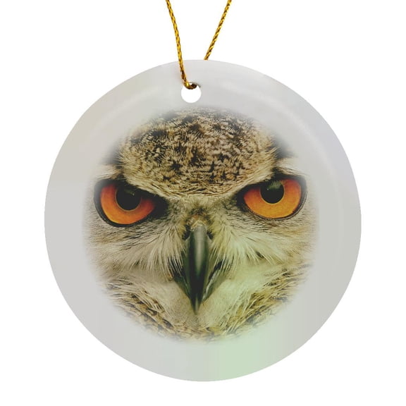 3drose, Eagle Owl (bubo Bubo) in Spain, Circle Porcelain Ornament