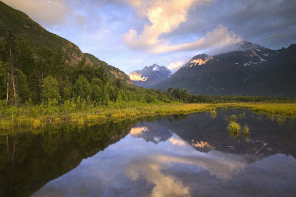Eagle & Polar Bear Peaks Reflected In A Marsh Pond Along Crow Pass Trail In The Eagle River Valley Chugach State Park Southcentral Alaska Summer Canvas Art - Michael DeYoung Design Pics (38 x 24)