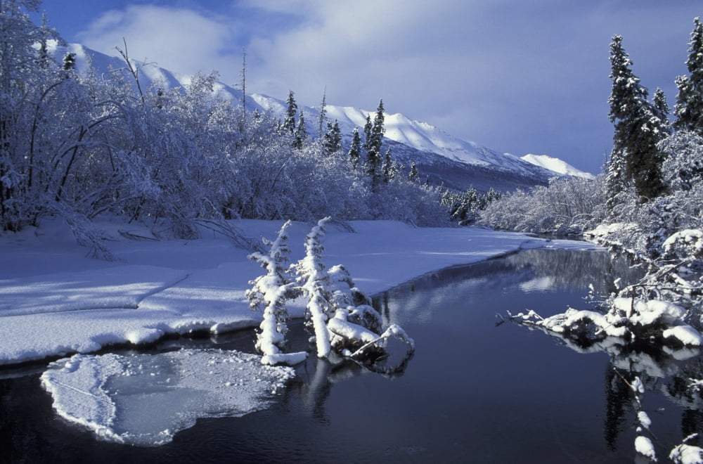 Eagle River In Chugach Sp Sc Alaska Early Winter Canvas Art - Cliff Riedinger Design Pics (38 x 24)