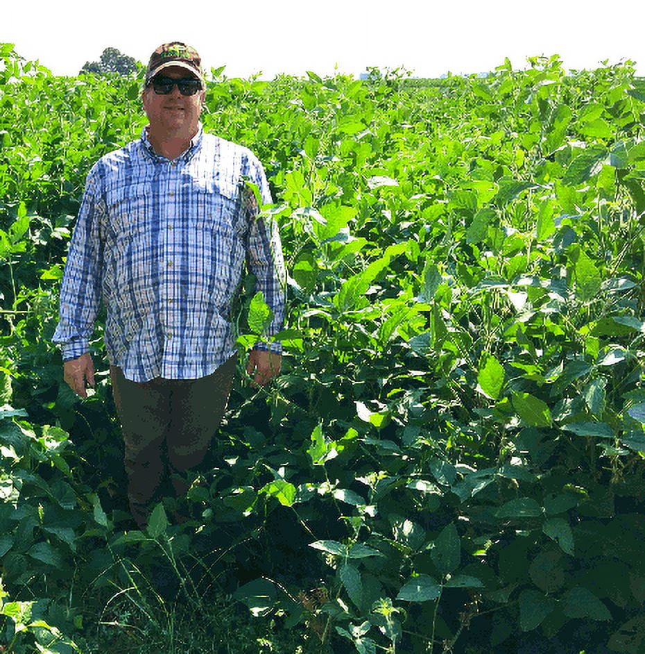 Eagle Seed Wildlife Manager's Mix Forage Soybeans Midwest, 1 Acre