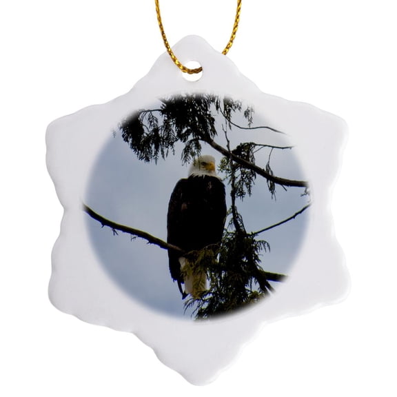 3drose, Eagle Sitting in a Tree, 3 inch Snowflake Porcelain Ornament