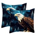 Eagle at Starry Night Throw Pillow Covers, Set of 2 Square Pillowcase