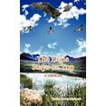 thumbnail image 1 of The Eagle Stays on Top (Paperback), 1 of 1