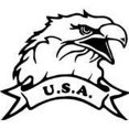 thumbnail image 1 of Eagle Usa Picture Art - Kids Boys Bedroom – Peel & Stick Sticker - Vinyl Wall Decal, 1 of 2