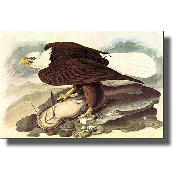 Eagle by John James, Wall Picture on Stretched Canvas, Wall Art Decor Ready to Hang!.