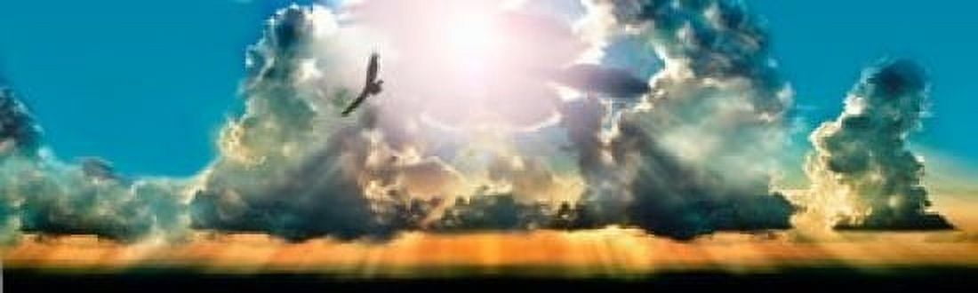 Eagle flying in the sky with clouds at sunset Canvas Art - Panoramic Images (15 x 5)