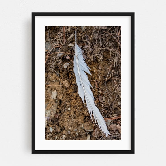 Eagle's Feather - Pennsylvania Photography Nature Abstract Wildlife Forest Minimalist Rustic Black Framed Wall Art Print 20 x 30 inches