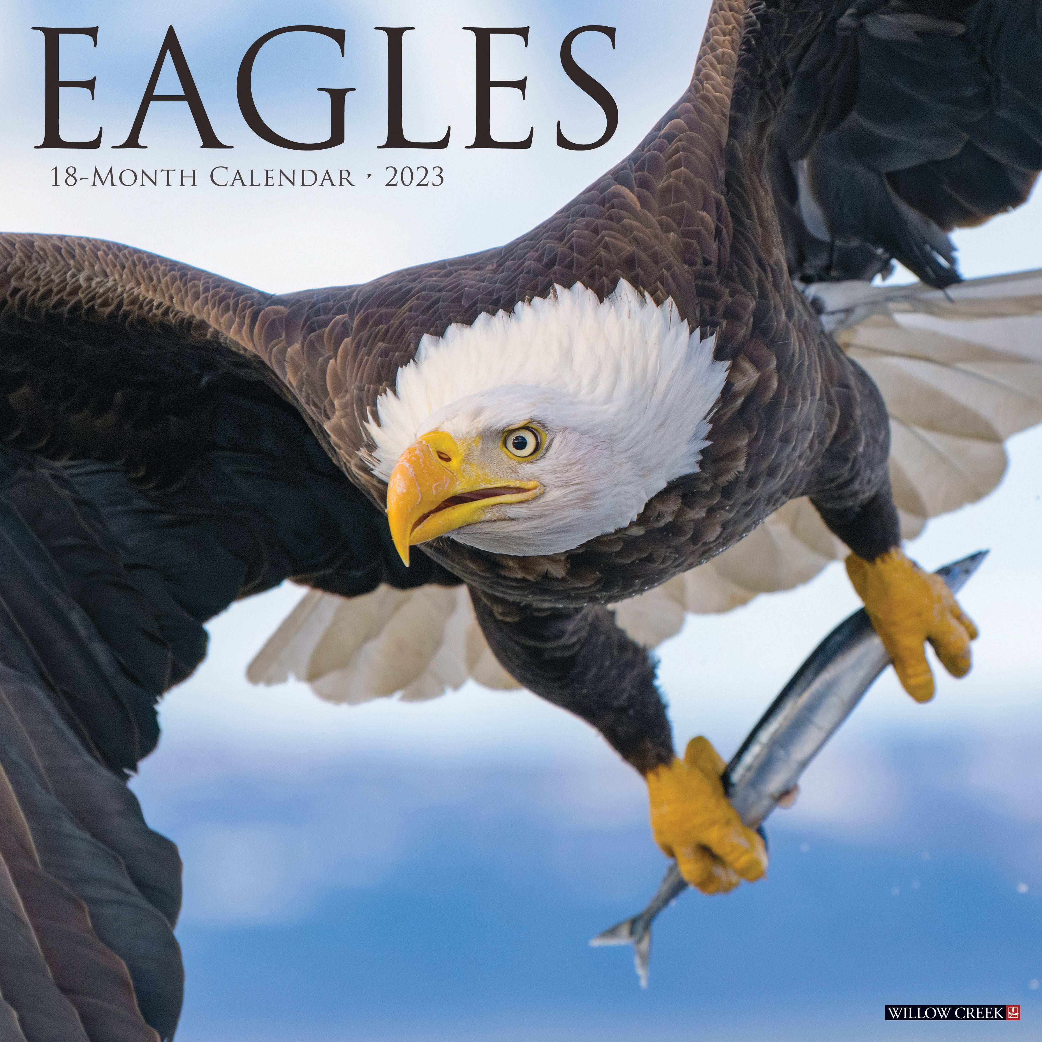 Eagles 2023 Wall Calendar - Walmart.com