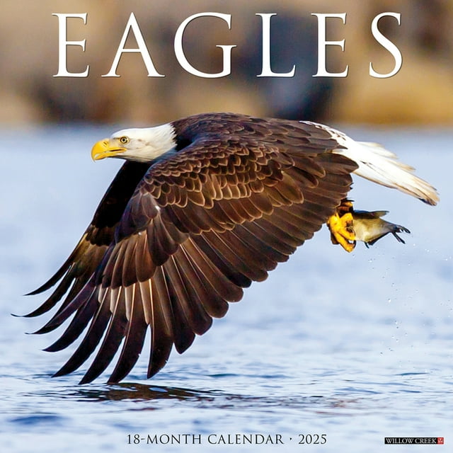 Eagles 2025 12 X 12 Wall Calendar (Other)