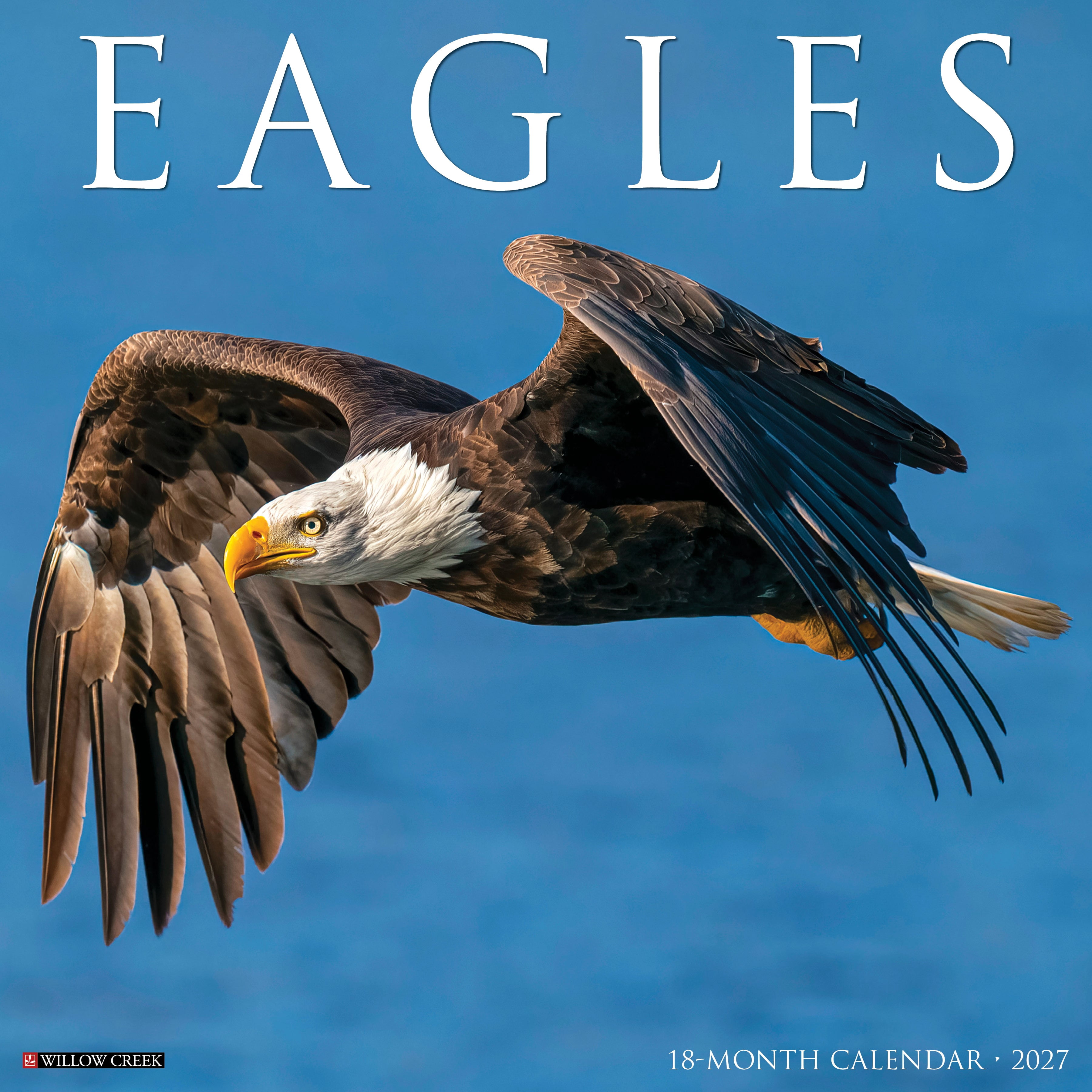 Willow Creek Press, Eagles 2027 Wall Calendar