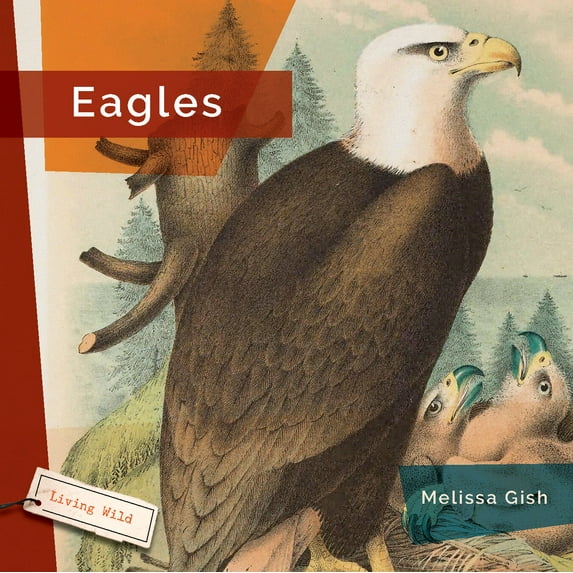 Eagles, (Paperback)