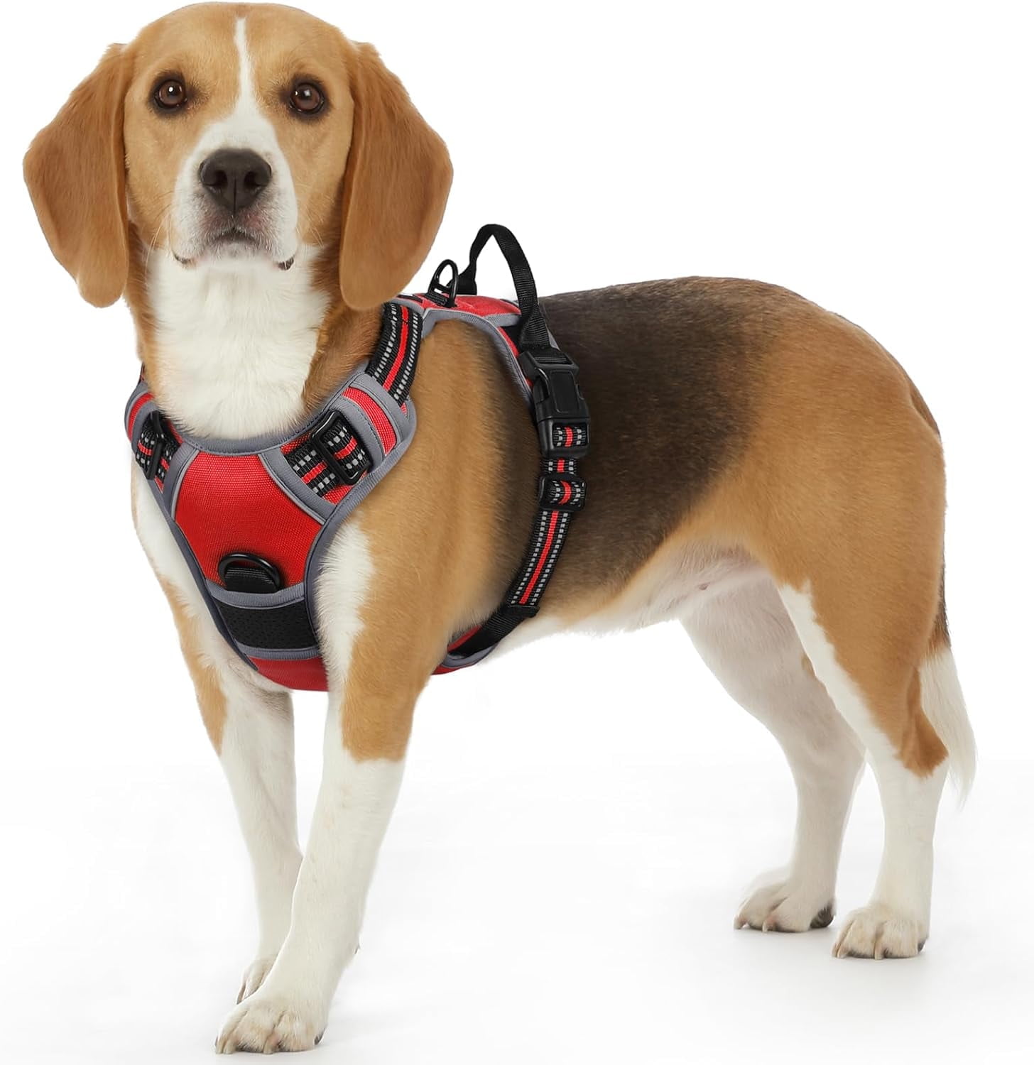 Control harness for large dogs outlet
