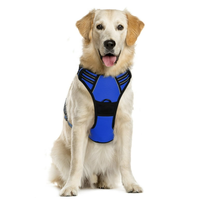 No choke dog harness 2025