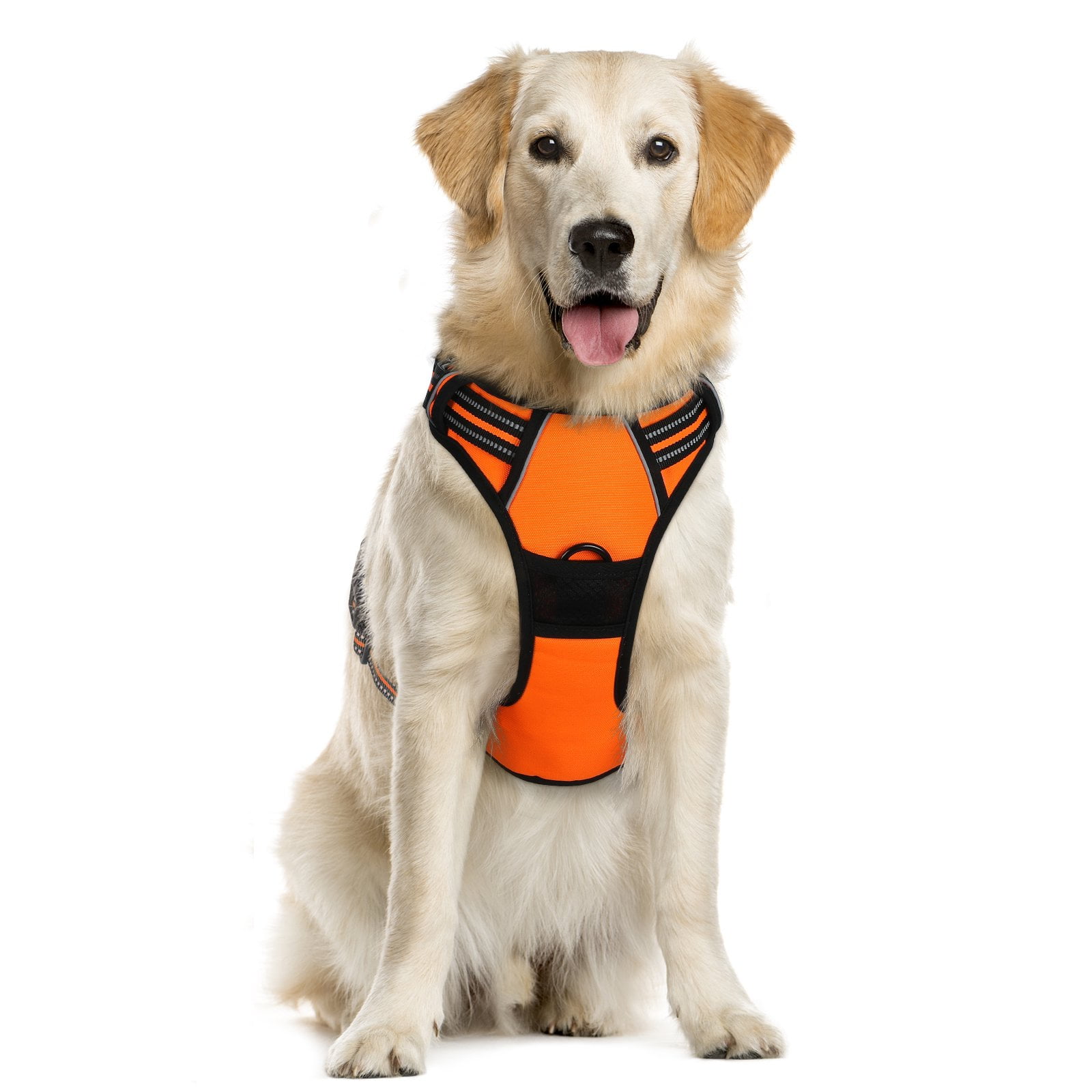 Eagloo dog harness shop review