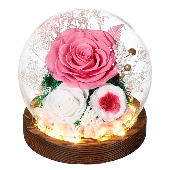 Eaprala Gifts for Her Preserved Flower Rose in Glass Dome Gifts for Women Mom Wife on Birthday Chrismas,Home Decoration.Pink White A101