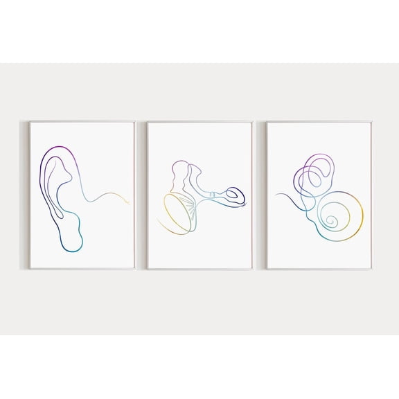 Ear Anatomy Art Audiology Outer Middle and Inner Ear Cochlea Human Anatomy Artwork, Poster Only