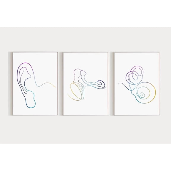 Ear Anatomy Art Audiology Outer Middle and Inner Ear Cochlea Human Anatomy Artwork Set 3