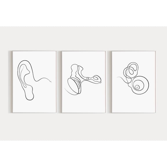 Ear Anatomy Art Audiology Outer Middle and Inner Ear Cochlea Human Anatomy Set 3 Unframed Paper Print 8x12