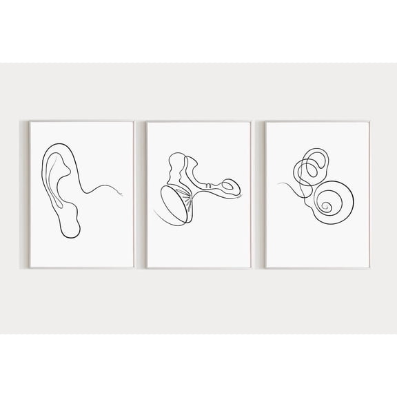 Ear Anatomy Art Audiology Outer Middle and Inner Ear Cochlea Human Anatomy Set 3