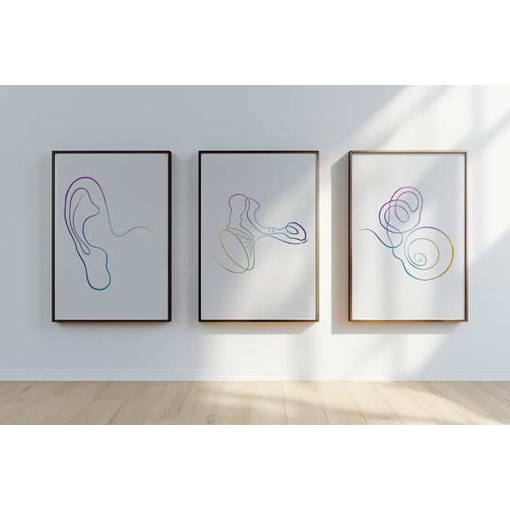 Ear Anatomy Audiology One Line Drawing HNO Clinic Decoration Audiologist Set 3 Unframed Paper Print 8x12