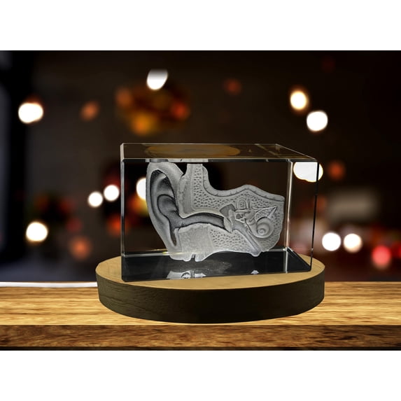 Ear Art For Otolaryngologist | 3D Engraved Crystal Keepsake | decor | Clear - AB Crystal Collection