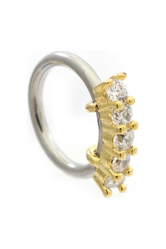 Ear Cartilage Jewelry Multiple Design and Gauges Available
