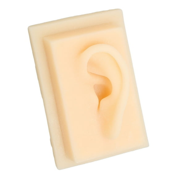 Ear, Glossy Texture Safe Practical Comfortable Soft Silicone Ear Vivid Shape Light Weight For Teaching Demonstration Left Ear