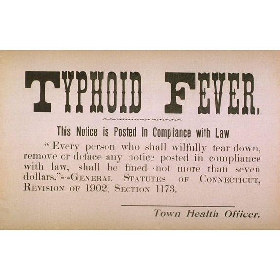 Early 20Th Century Quarantine Sign For The Contagious Disease Typhoid Fever. History (36 x 24)